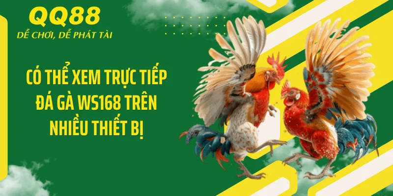 Có thể xem trực tiếp đá gà WS168 trên nhiều thiết bị